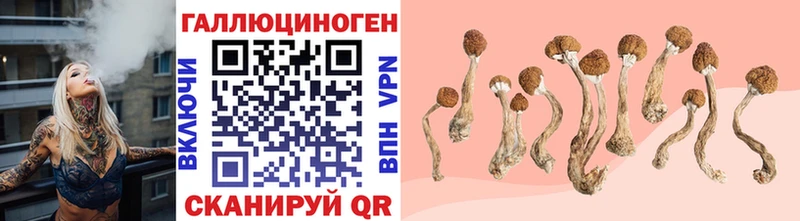 купить наркотики цена  Вихоревка  Псилоцибиновые грибы MAGIC MUSHROOMS 